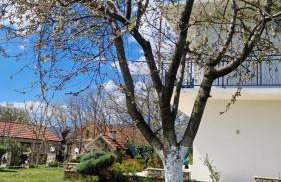 Villa Dona Bella - Foto 51