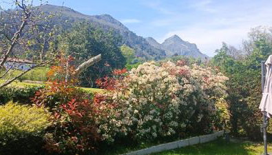 Apartamentos Les Texuques - Foto 5, Garden