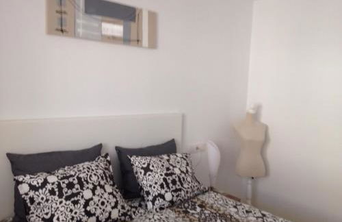 Salamandra - Photo 37