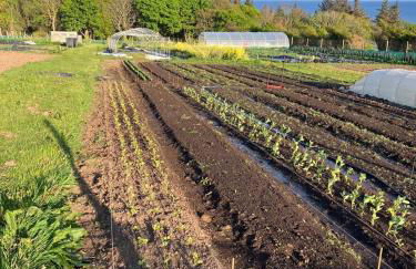Tiny home on an organic croft, Isle of Arran - Photo 13