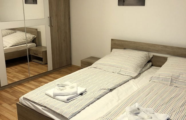 Sahara Falcon - Foto 4