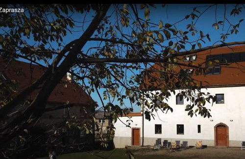 WYSPA KONI - urocze gospodarstwo agroturystyczne - Foto 10