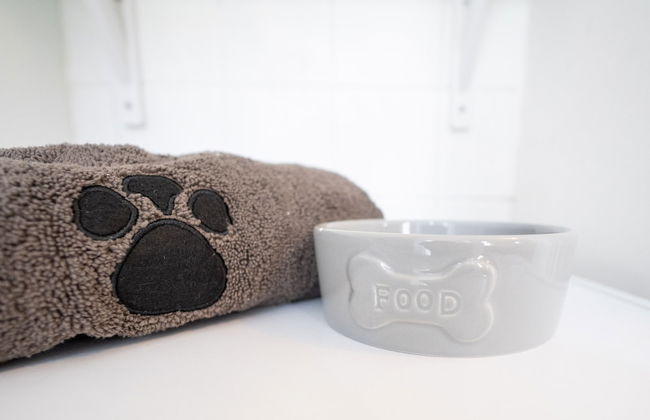 Seaside Snug - Photo 21