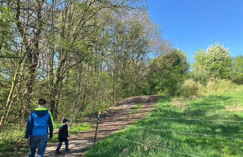 Ferienhaus Landeskrone für 10 Personen mit Sauna, Terrasse, inkl Parkplatz in Dresden - Foto 51