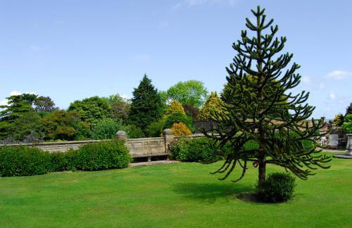 Dunsley Hall Country House Hotel - Foto 14