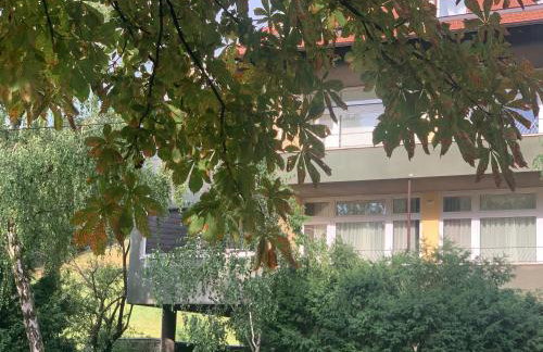 Centrally Chic Studio - Photo 16