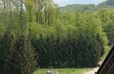 Apartments Šoić - Photo 6