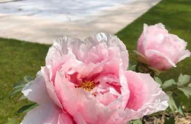 Le Clos du Petit Dannezy - Foto 30