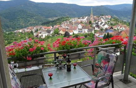 Am Keschtewaeldele **** - Foto 10