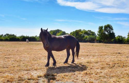 Manoir du Bois Joly - Gîte du Fournil - Foto 57