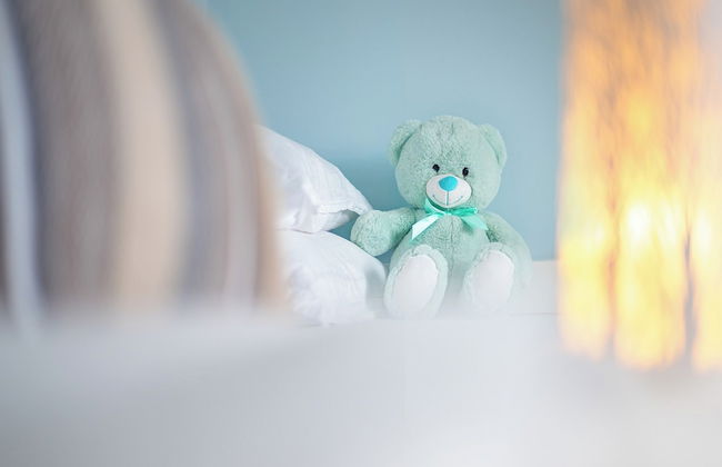 Gold Coast Photography Inn - Photo 1