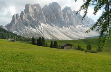 Alaska House - Yukon Room - Foto 57