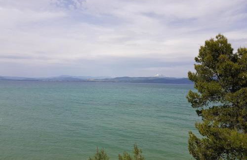 Beachfront House Villa 35min from Athens - Foto 6