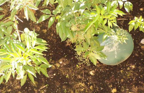 Apartamentos Bergantes - Foto 9