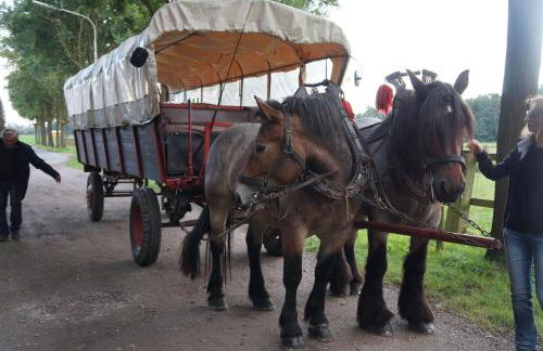 Ferienwohnung Haagedoernchen - Foto 26