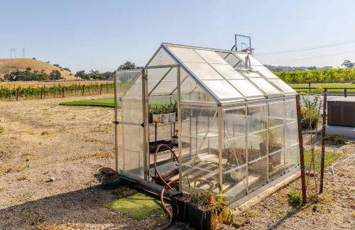 Serene Vineyard•Deck, Pickleball, Views~ Near Town - Foto 20