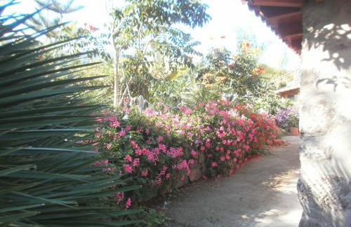 Finca las Palmeras - Foto 45