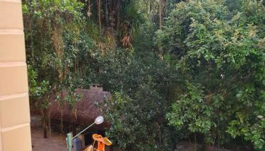 Apartamento Riviera - Photo 4, Garden view