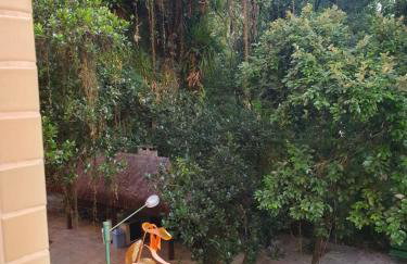 Apartamento Riviera - Photo 4