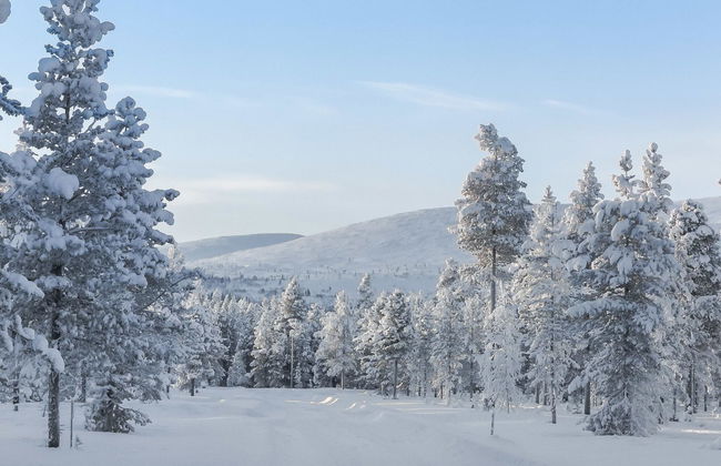 Pallaskieppi - Foto 26