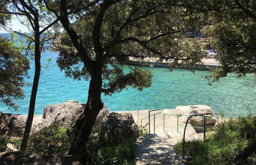 Villa Matovica - Photo 15