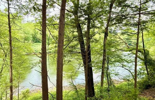 Country Comfort Cabin Delaware River Islands - Foto 53