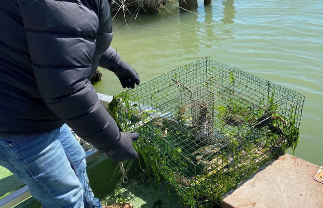 Agriturismo Tenuta Castel Venezze - Foto 62