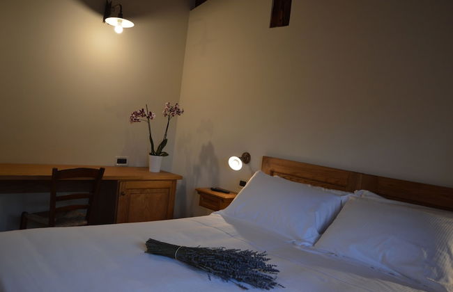 Fattoria Lucciano - Foto 9