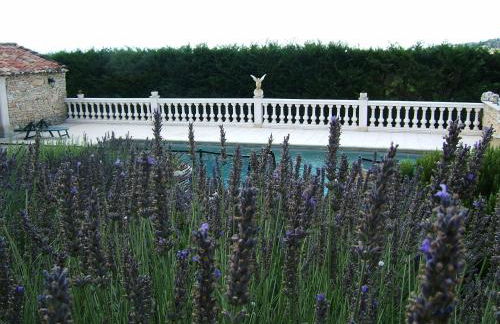 La Bastide des Raisins - Photo 17