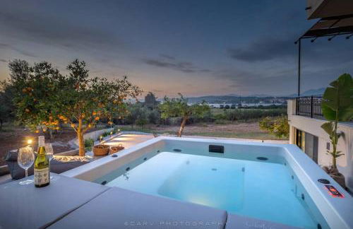 Orange Tree - Foto 6