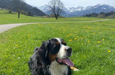 Hemerhof - Ferienwohnungen - Foto 54