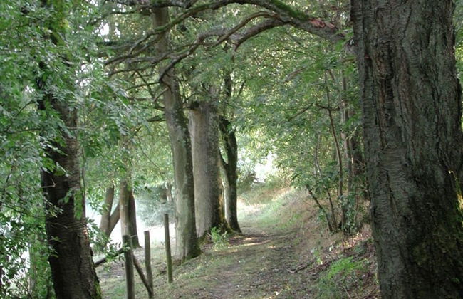 Apartment in Gransdorf With Scenic Views - Photo 22