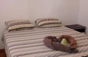 Paraiso de Maracajau 1 - Foto 30