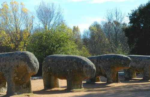 Casa rural en El Burguillo - Picos Pardos CRA-AV-1088 - Photo 56