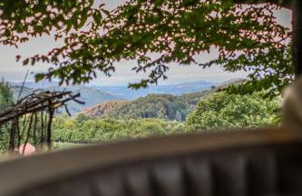 Wild Rose Samobor - Foto 65