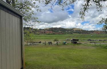 Dorothy's Hideaway - Foto 15