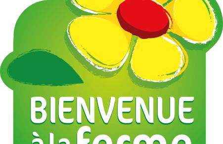 Le Gite de la Prunette - Foto 8