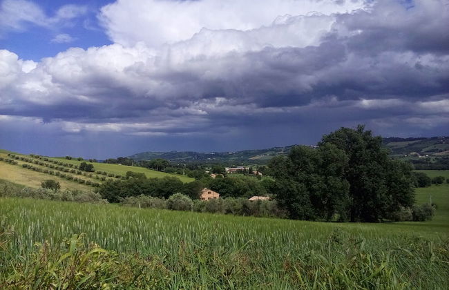 Agriturismo Forestale Luti - Foto 43