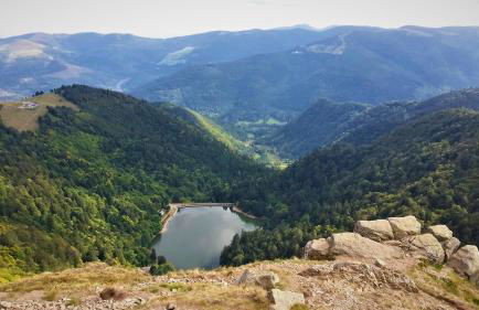 Gite châlet nature haute vosges - Foto 42