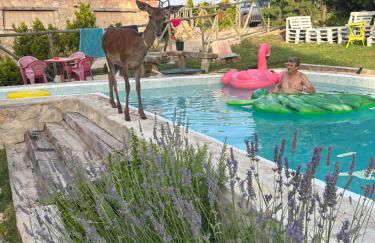 Cabañas Buenache - Foto 7