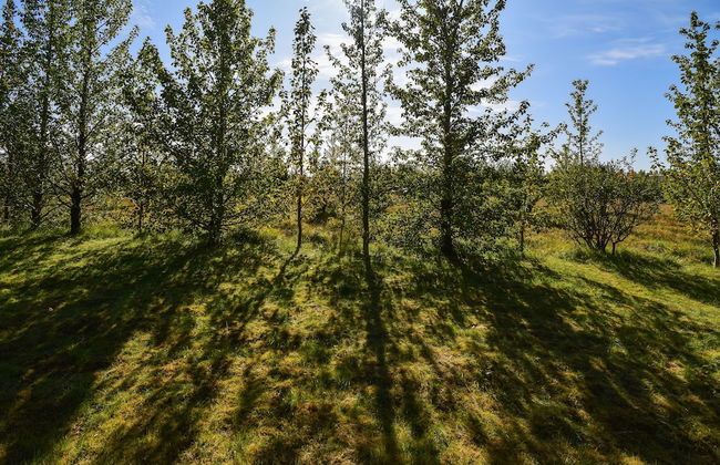 Cottage O12 - Foto 19