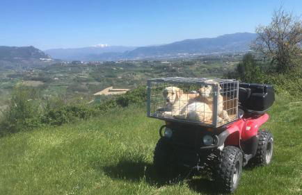 Casa Verdi Colli - Foto 32