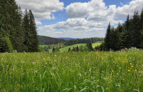 Biobetrieb Lippenhof - Foto 23