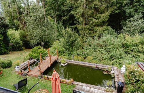 Olifant in Osterode - Foto 52