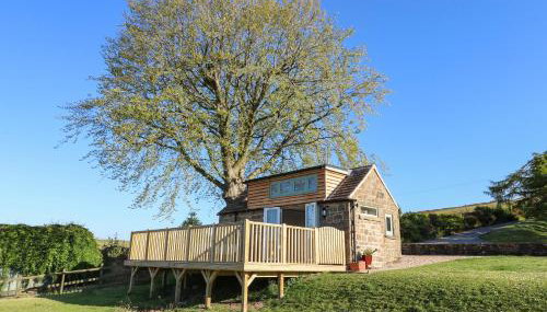 Cuckoo Nest - Foto 1