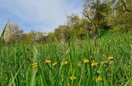 Auszeit an der Aisch - Foto 14