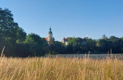 Gemütliche Zwei-Zimmer-Ferienwohnung "W1" in Zwenkau bei Leipzig im Neuseenland - Foto 62