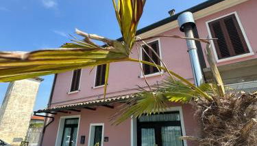 App Suite da Alfredo Lugo vicino a Maria Cecilia Hospital ,piano terra - Foto 5