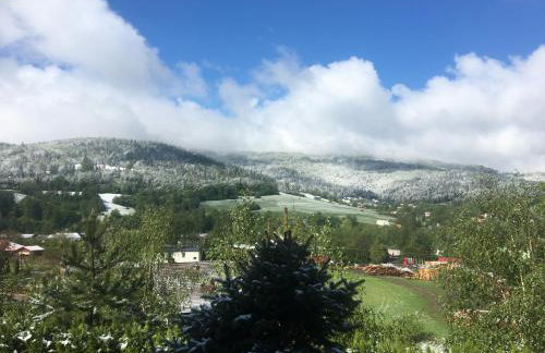 Domek i Apartamenty Zacisze - Foto 77