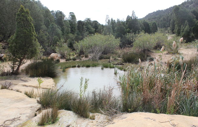 Villa in the Mountains Hammamet - Foto 47